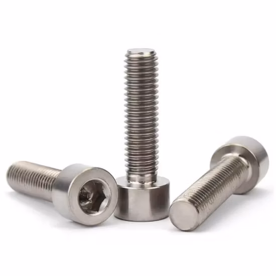 Titanium Screw/ Bolt/ Washer/ Fastener