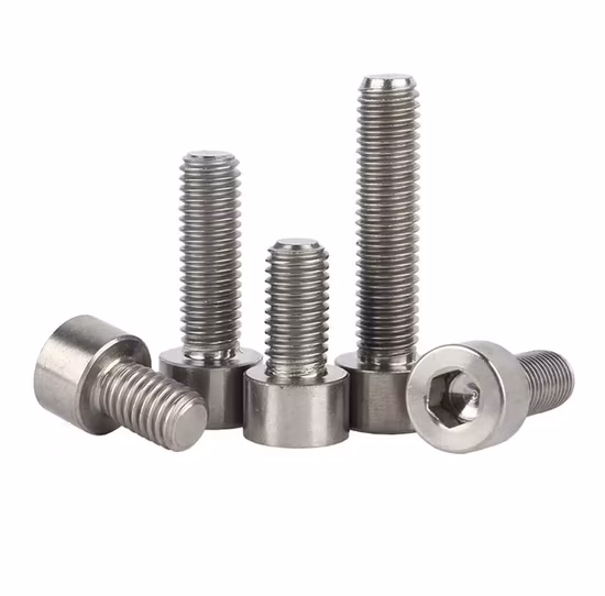 Titanium Screw/ Bolt/ Washer/ Fastener