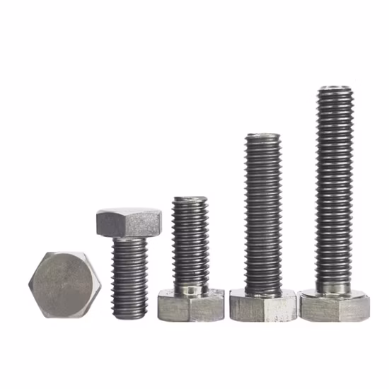 Titanium Screw/ Bolt/ Washer/ Fastener